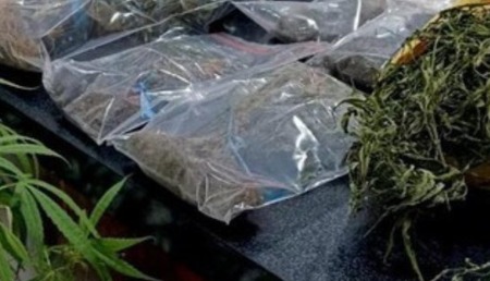 Polres Metro Jakpus Bekuk Pengedar Ganja 53 Kg di Pulogebang